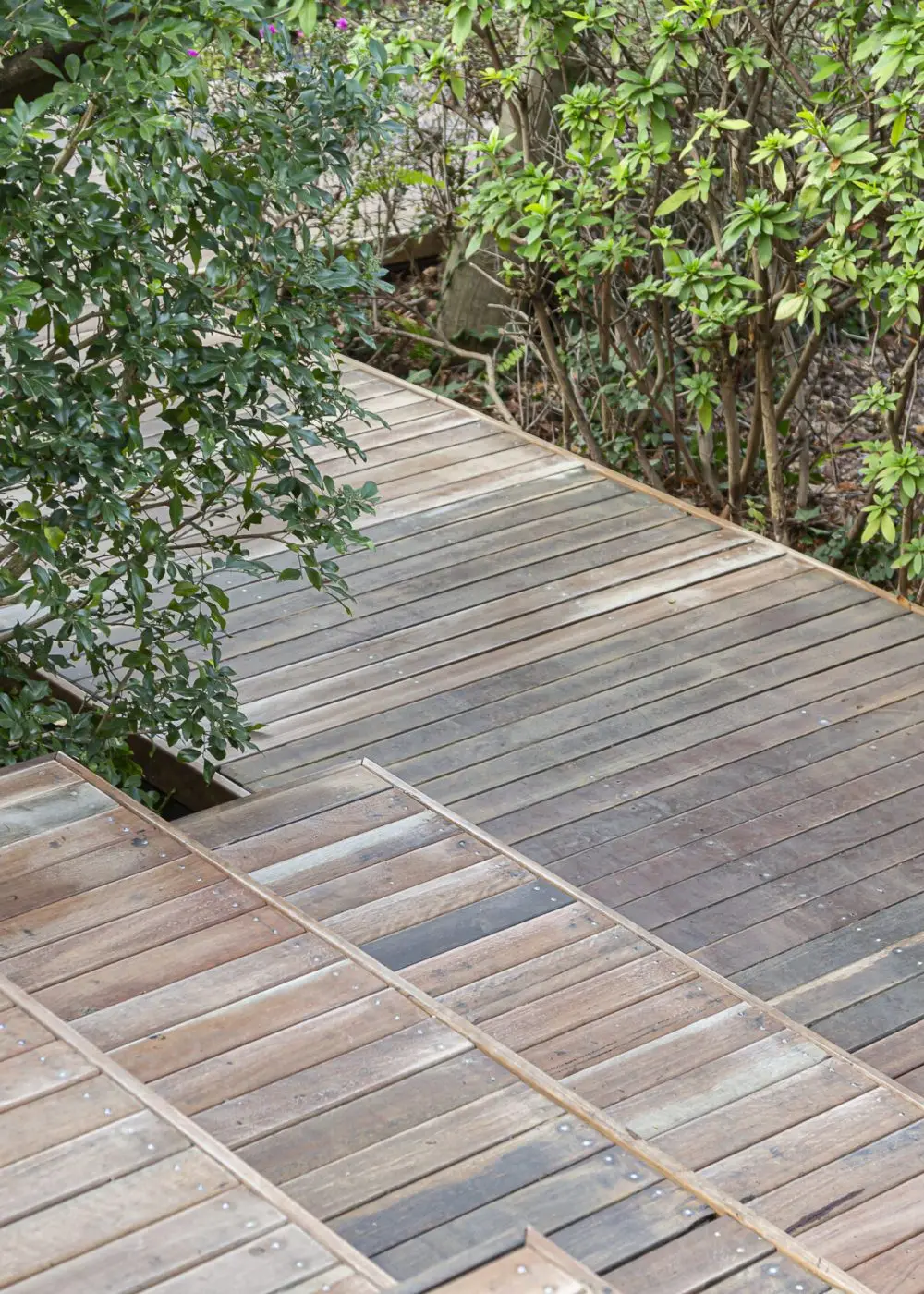 Deck Construction Services